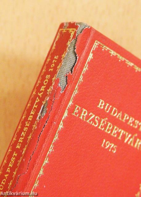 Budapest Erzsébetváros (minikönyv)