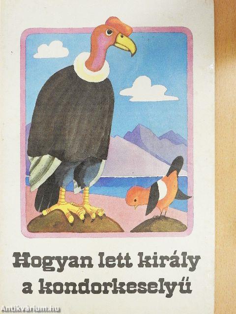 Hogyan lett király a kondorkeselyű