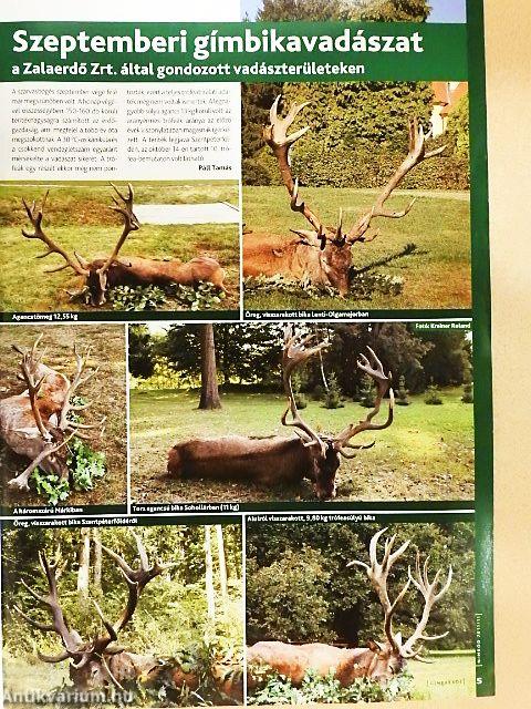 Nimród 2011. november