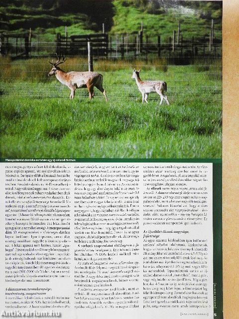 Nimród 2013. október