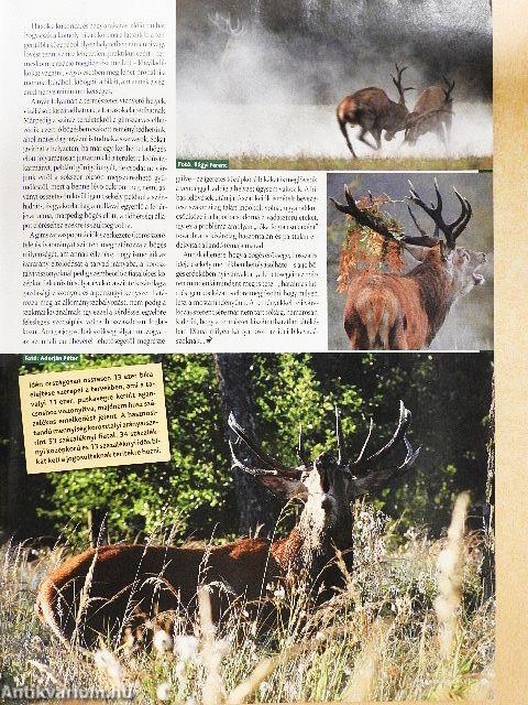 Nimród 2012. szeptember