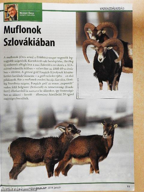 Magyar Vadászlap 2014. január
