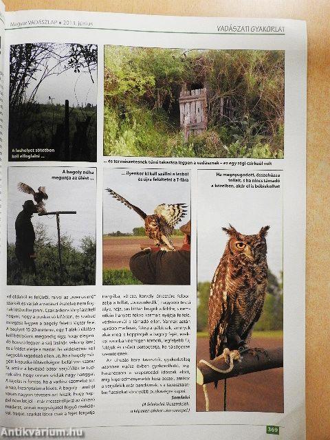 Magyar Vadászlap 2013. június