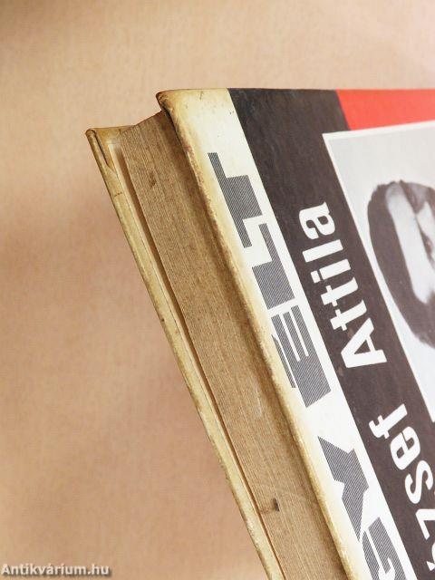 Így élt József Attila