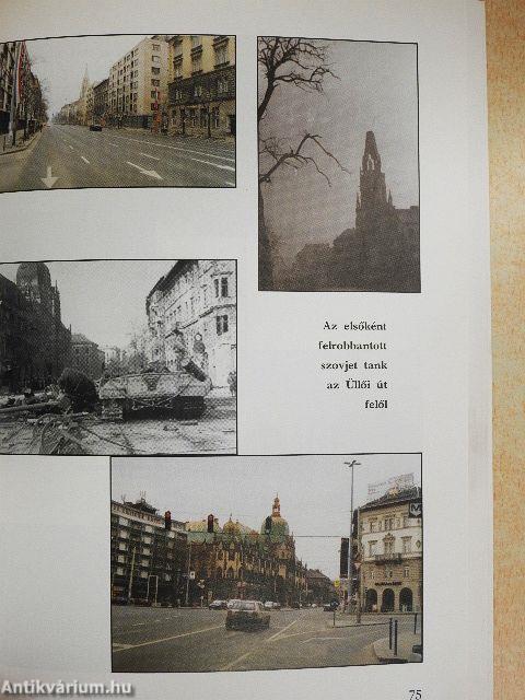 Emlékezés 2006. november