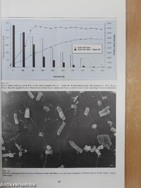Bereich Ökologie Jahresbericht 1992