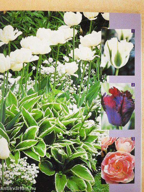 Balkonok és teraszok