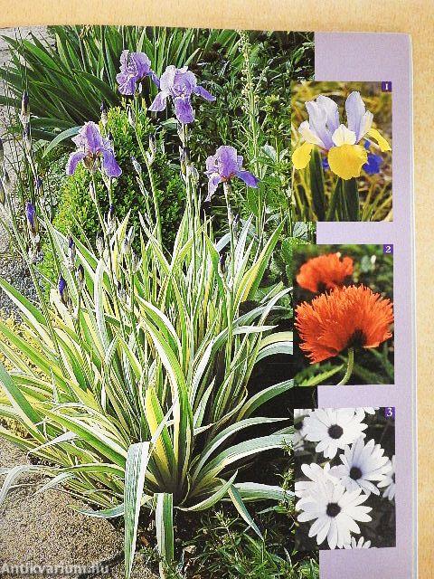 Balkonok és teraszok