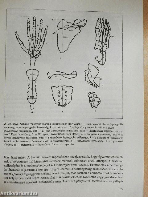 Embertan és emberszármazástan