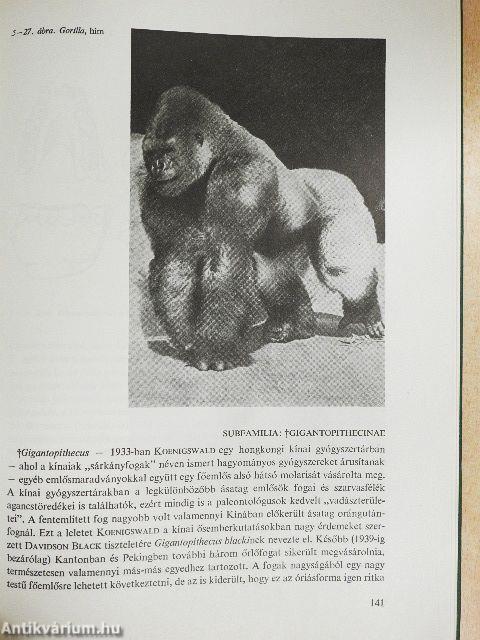 Embertan és emberszármazástan