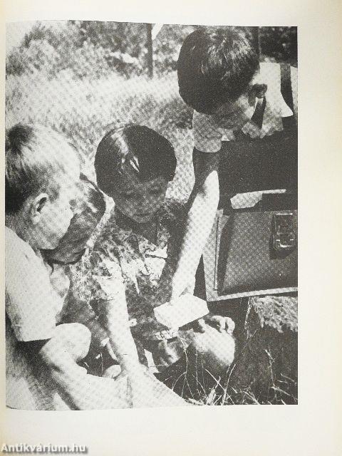 Szülőföldünk, Budapest