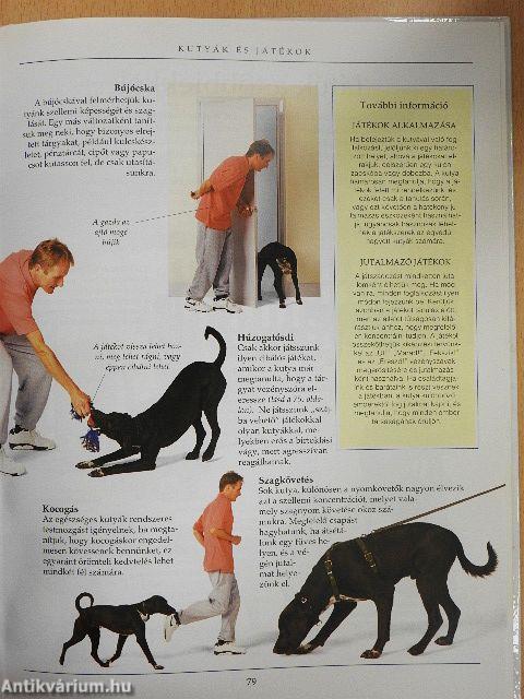 A kutyakiképzés nagy kézikönyve