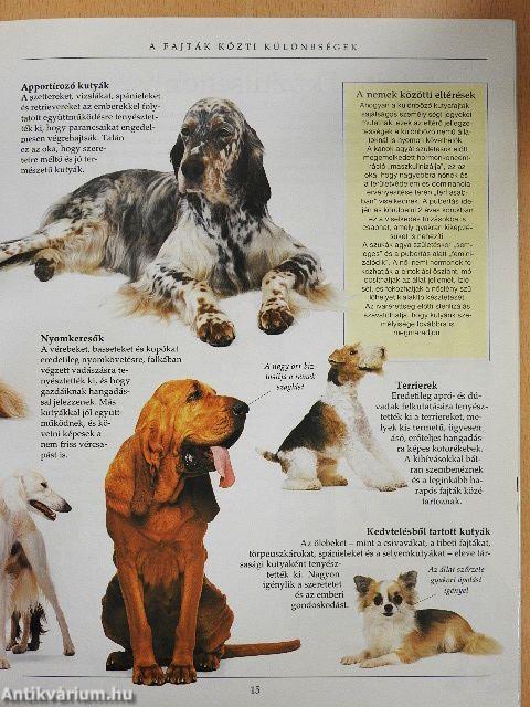 A kutyakiképzés nagy kézikönyve