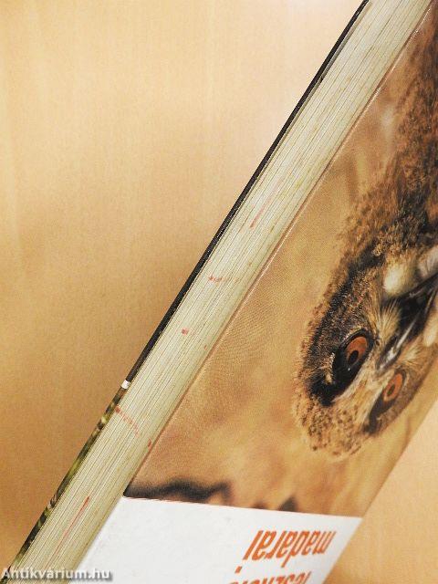 Magyarország fészkelő madarai