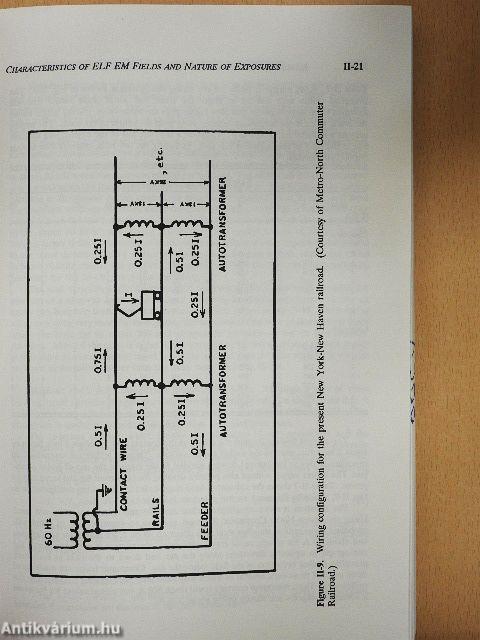 Health Effects of Low-Frequency Electric and Magnetic Fields