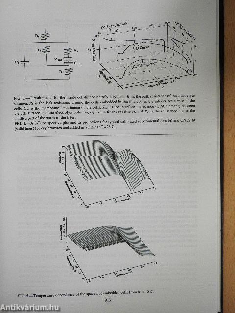 Electricity and Magnetism in Biology and Medicine
