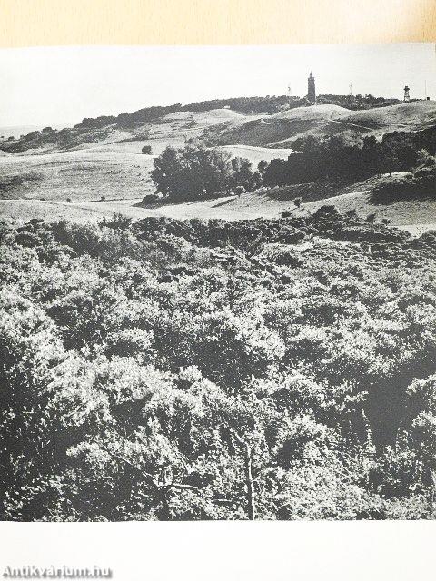 Die Insel Hiddensee