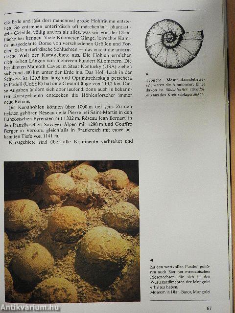 Das Antlitz der Erde