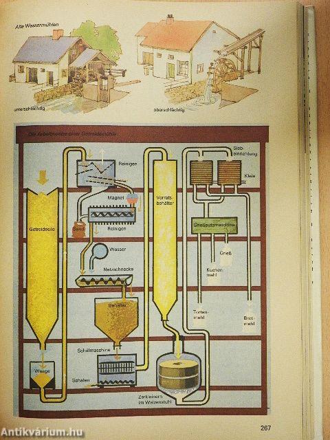 Von Anton bis Zylinder