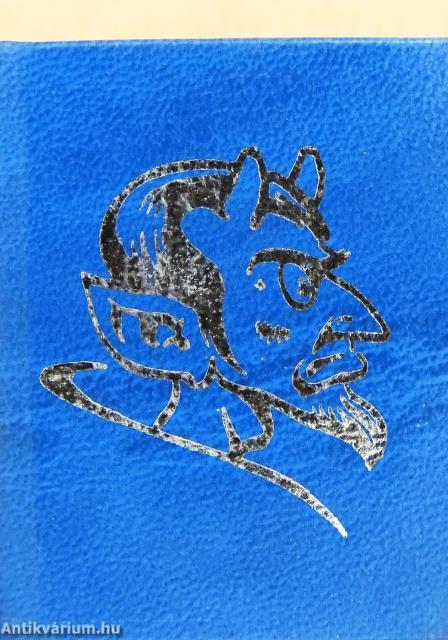 Ördögi kísírtetekről (minikönyv)