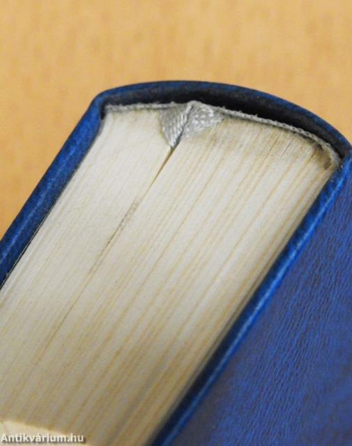 Ördögi kísírtetekről (minikönyv)