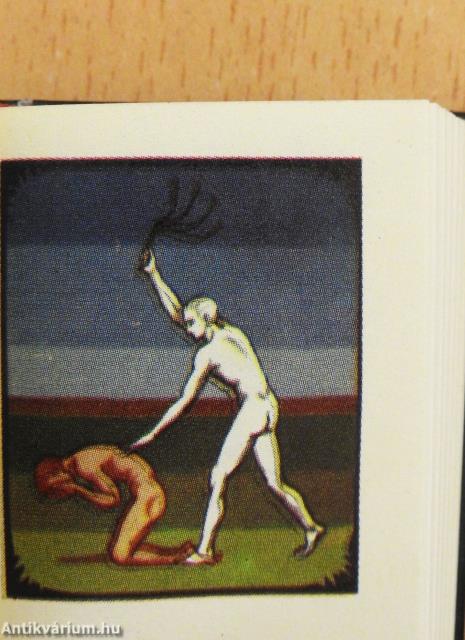 Novissima tuba azaz Ítéletre serkentő utolsó trombitaszó (minikönyv)