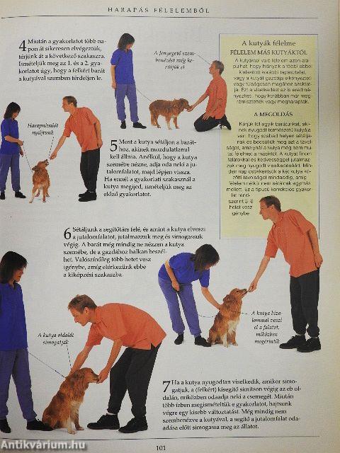 A kutyakiképzés nagy kézikönyve