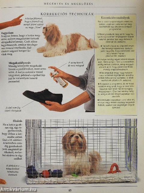 A kutyakiképzés nagy kézikönyve