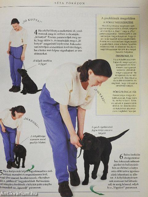 A kutyakiképzés nagy kézikönyve
