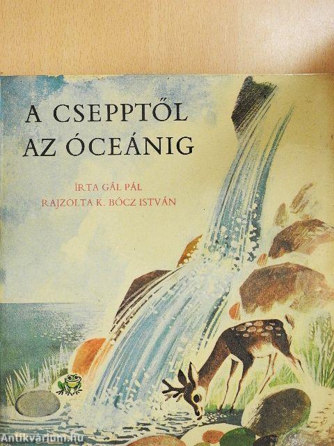 A csepptől az óceánig