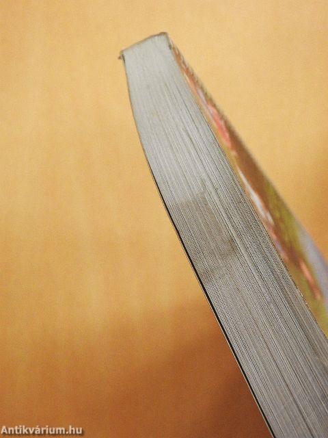 Különleges bánásmódot igénylő gyermekek helyzete Szabolcs-Szatmár-Bereg megyében