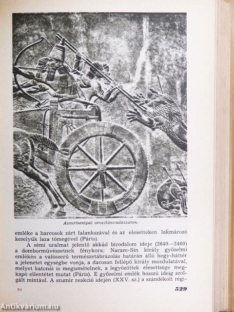 A szépművészetek könyve