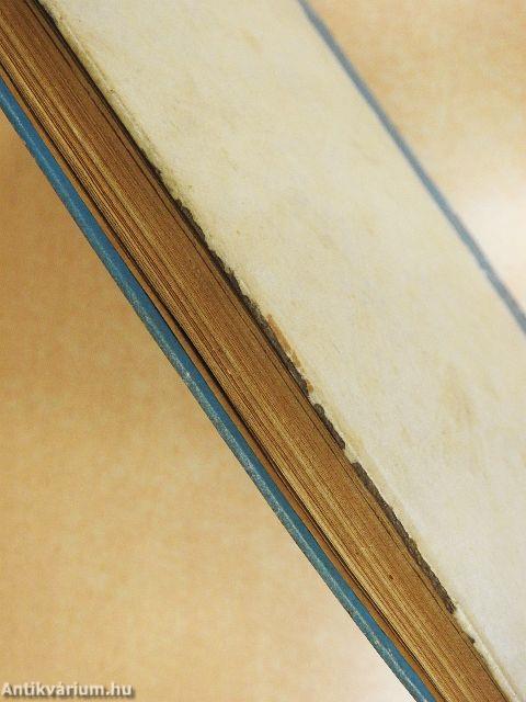 Mindentudó professzor