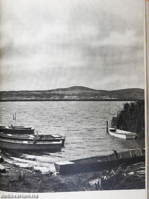 Budapest-Velencei-tó-Székesfehérvár