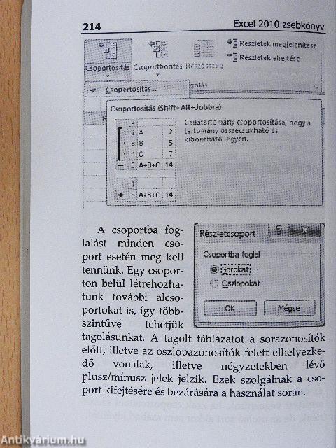 Microsoft Excel 2010 zsebkönyv