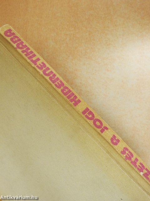 Bevezetés a jogi kibernetikába