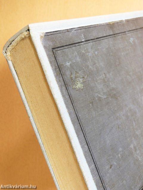 Rüstig Zsigmond, a brémai kormányos