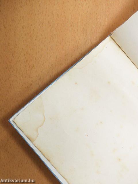 Rüstig Zsigmond, a brémai kormányos