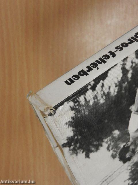 Negyedszázad piros-fehérben