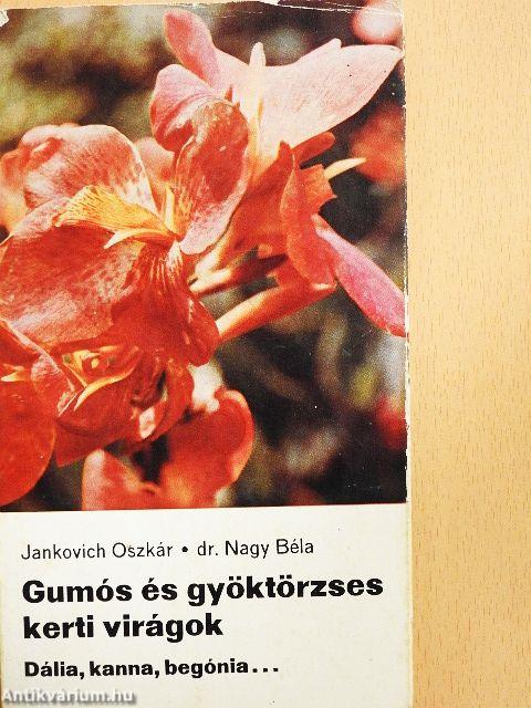 Gumós és gyöktörzses kerti virágok