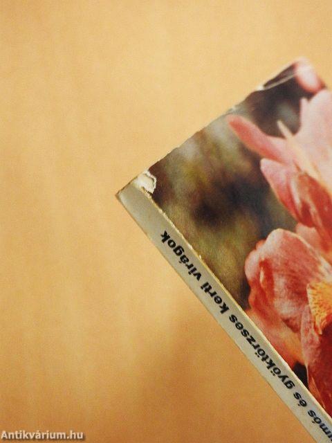 Gumós és gyöktörzses kerti virágok