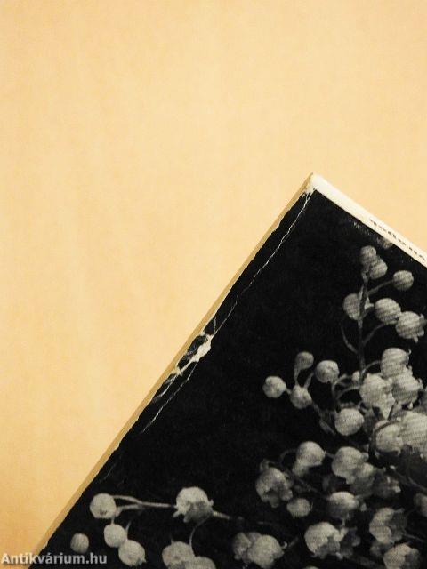 Gumós és gyöktörzses kerti virágok