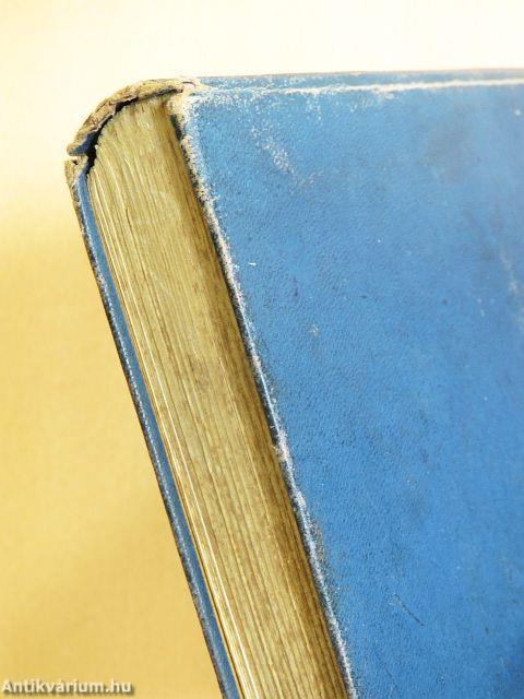 Egy magyar diák élete Mátyás király korában