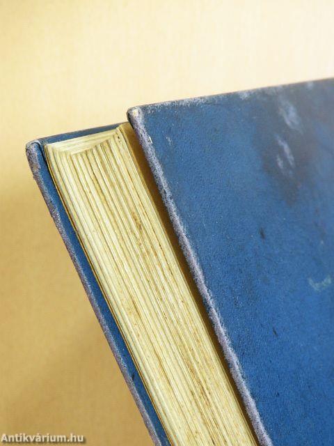 Egy magyar diák élete Mátyás király korában