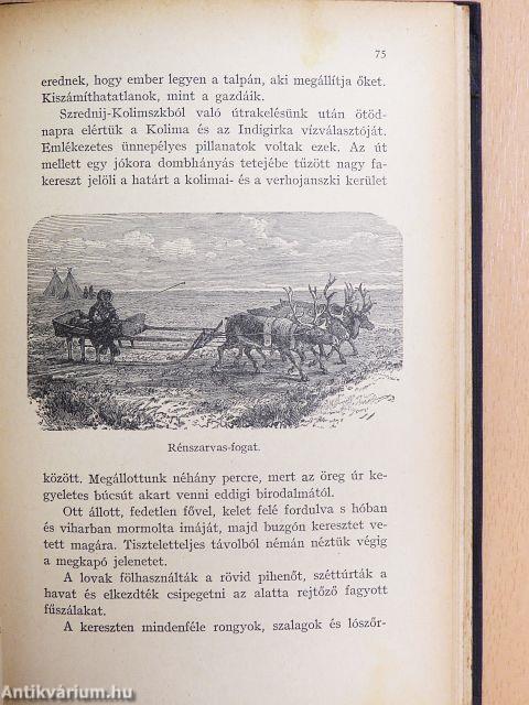 A "Jeannette" pusztulása