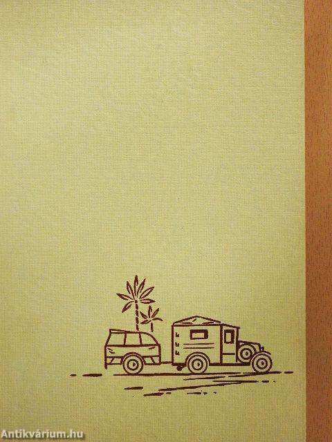 Háromezer kilométer Afrikában