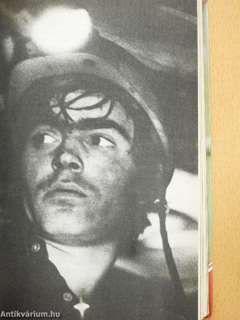 Holtomiglan? Holtodiglan?