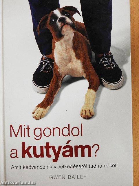Mit gondol a kutyám?