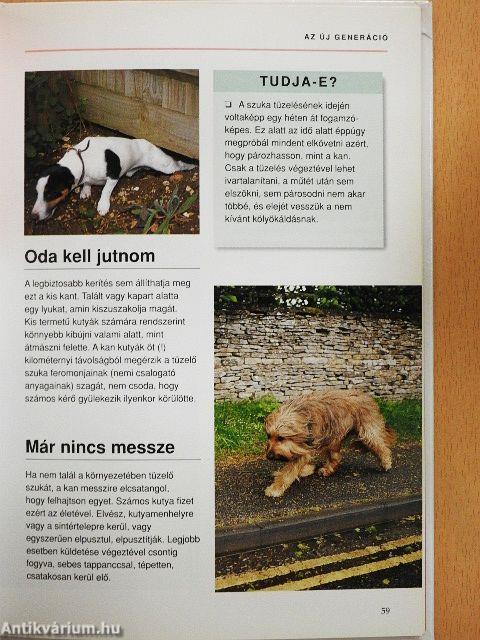 Mit gondol a kutyám?