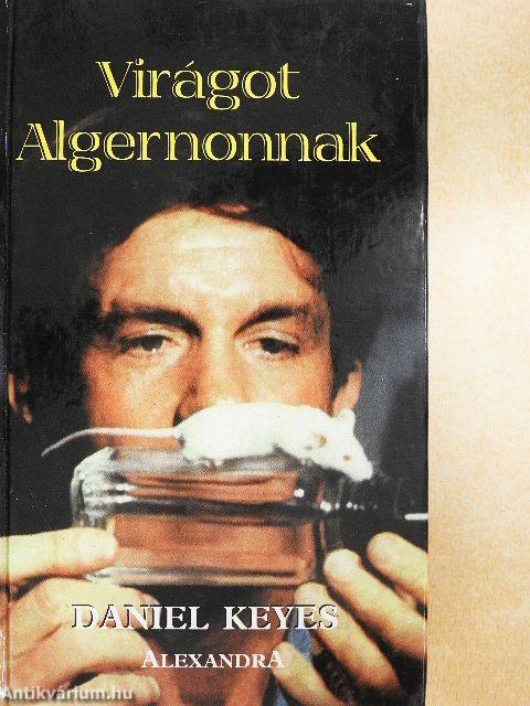 Virágot Algernonnak